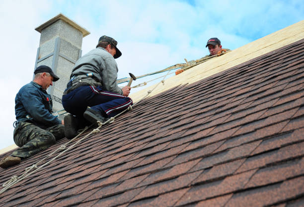 Best New Roof Installation  in Tornado, WV